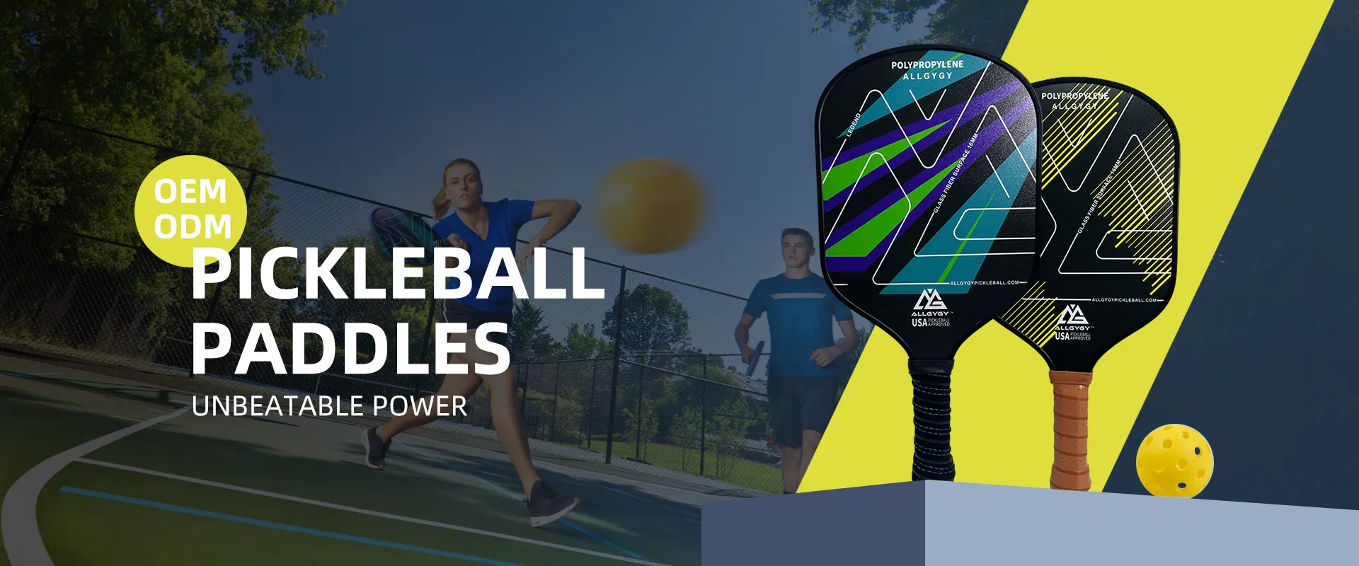 مورد شبكة Pickleball